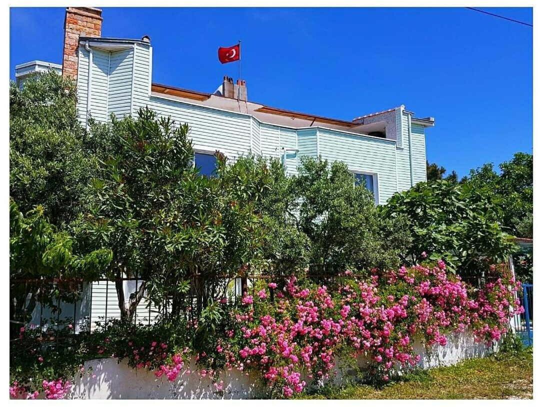Akmonya Pansiyon Eriklice Exteriér fotografie